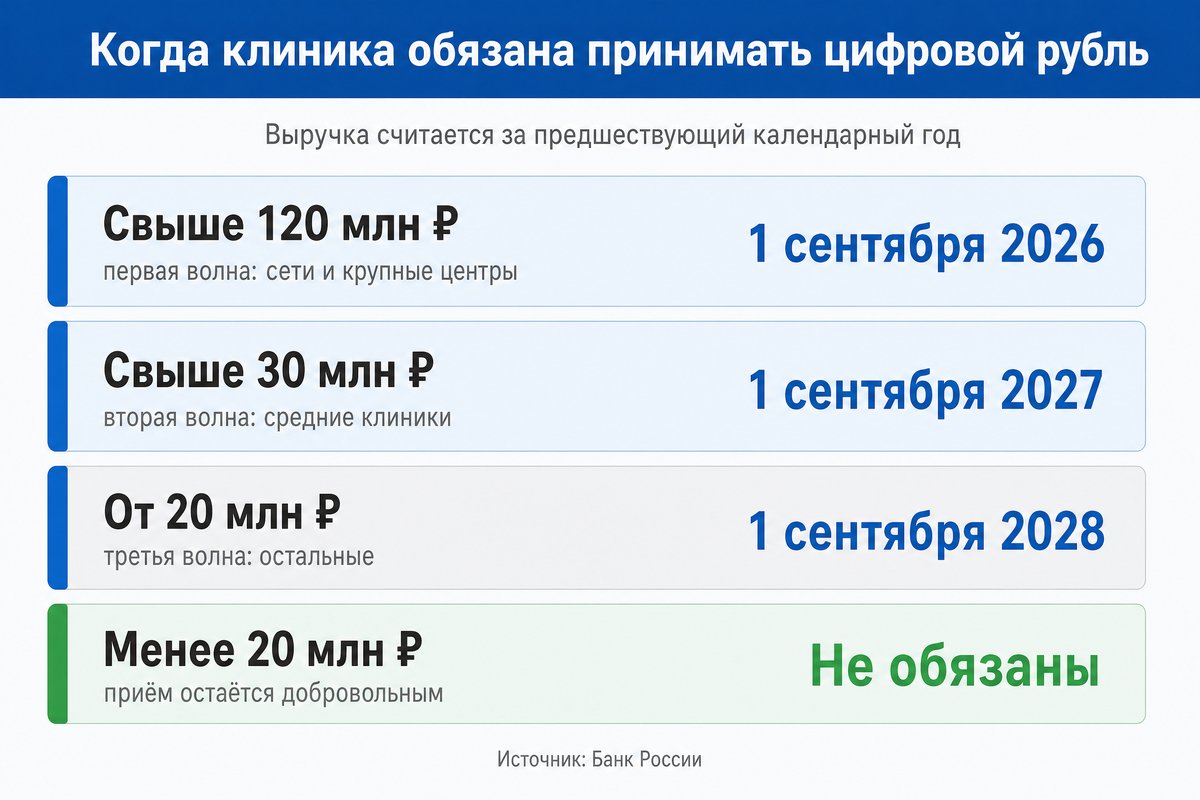 График обязательного приёма цифрового рубля по выручке